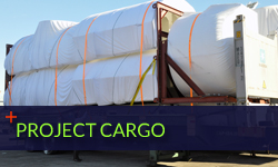 Specialized Cargo